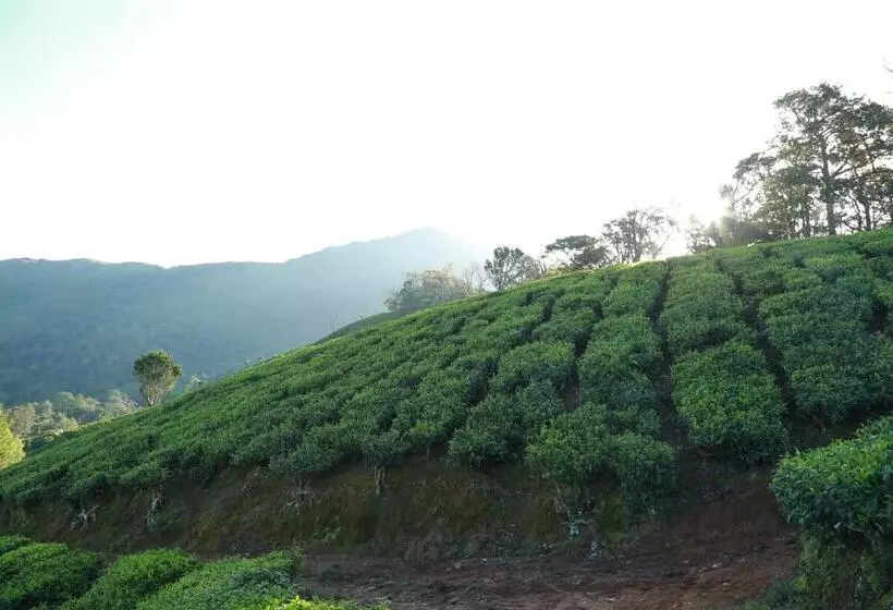 The Nirvana Resort Munnar