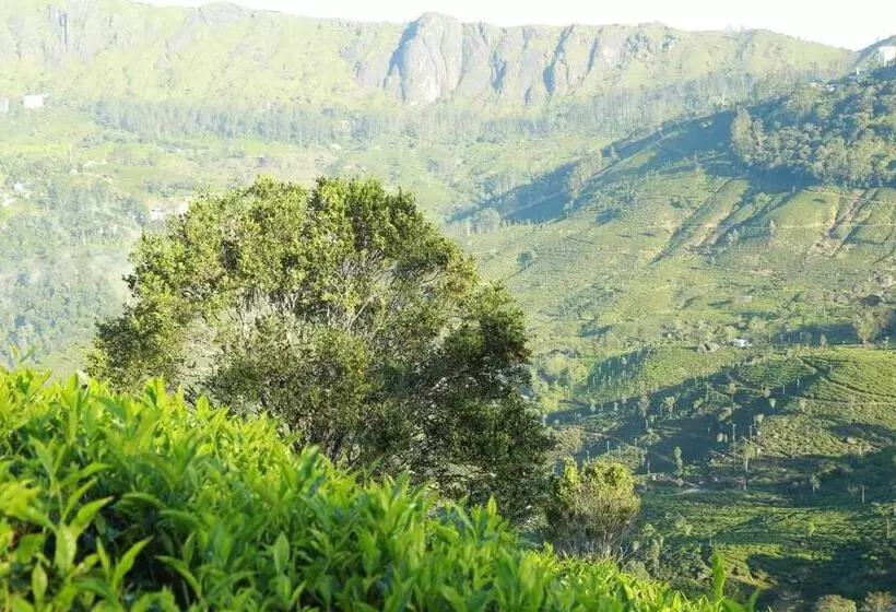 The Nirvana Resort Munnar