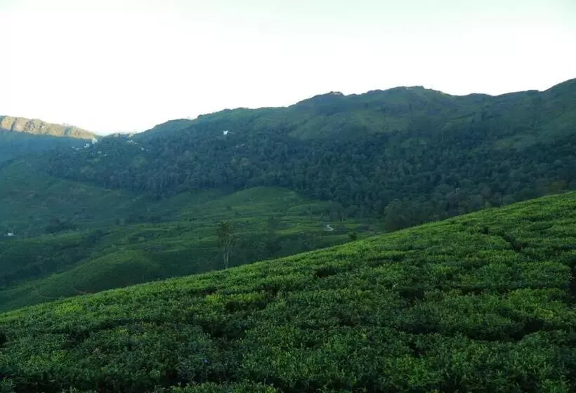 The Nirvana Resort Munnar