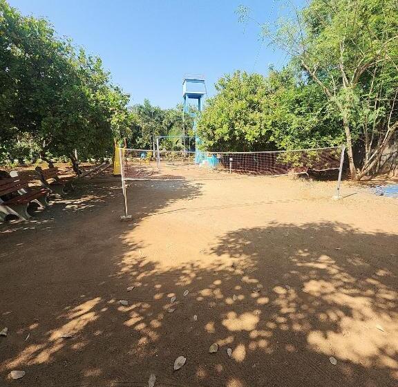 Paradise Forest Resort