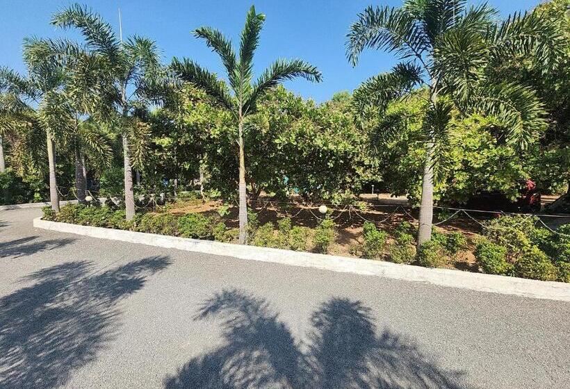 Paradise Forest Resort