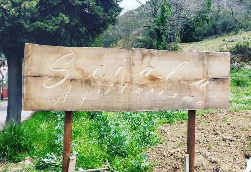 بنسيون Room In Bb  Elegant And Relaxing Farmhouse Nestled In The Heart Of Cilento