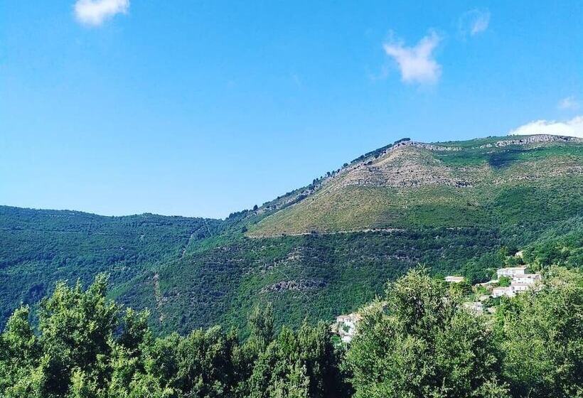 بنسيون Room In Bb  Elegant And Relaxing Farmhouse Nestled In The Heart Of Cilento