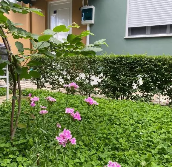 ペンション Vila Ajdinaj