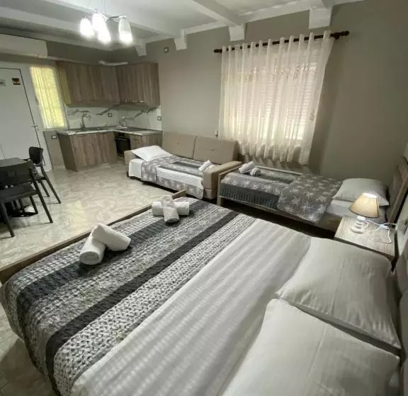 ペンション Vila Ajdinaj