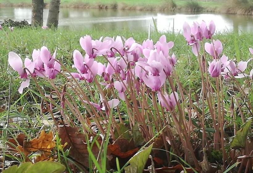 ベッドアンドブレックファースト La Maison Du Pech