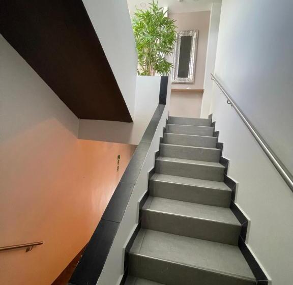 בית מלון כפרי Dreams Scape