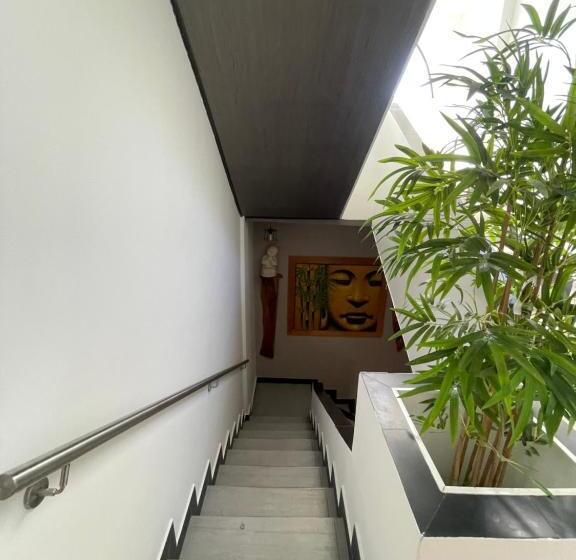 בית מלון כפרי Dreams Scape