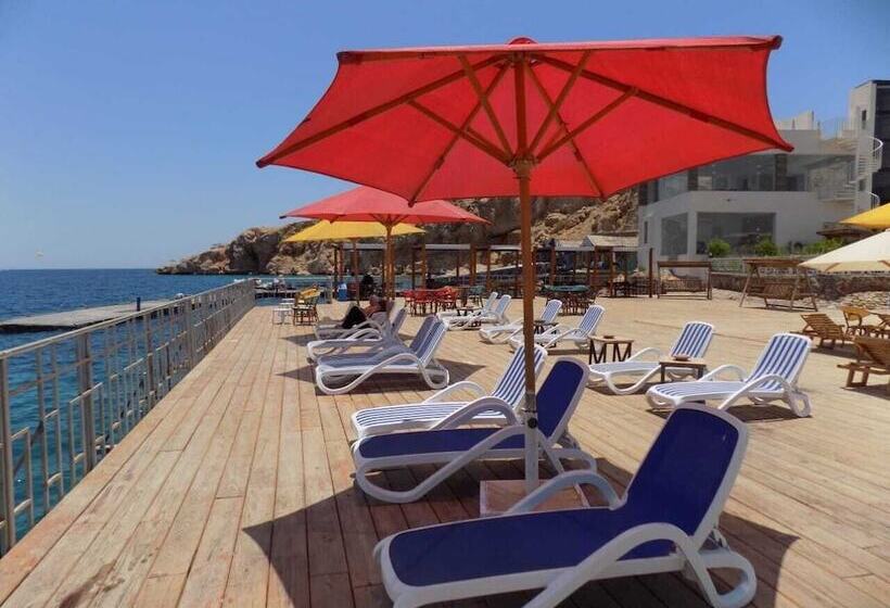 هتل Jewel Sharm El Sheikh