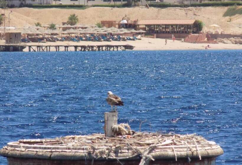 هتل Jewel Sharm El Sheikh