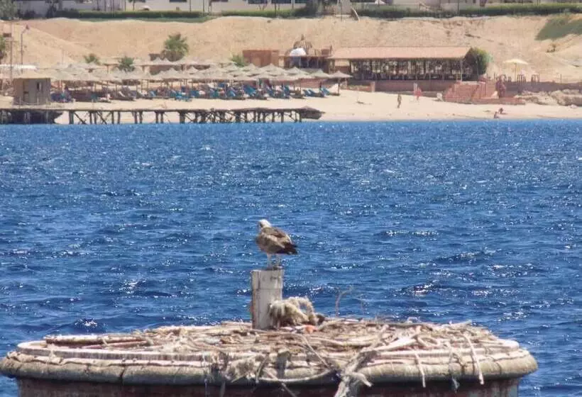 هتل Jewel Sharm El Sheikh