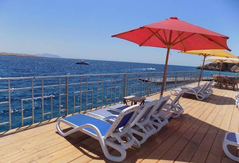 هتل Jewel Sharm El Sheikh
