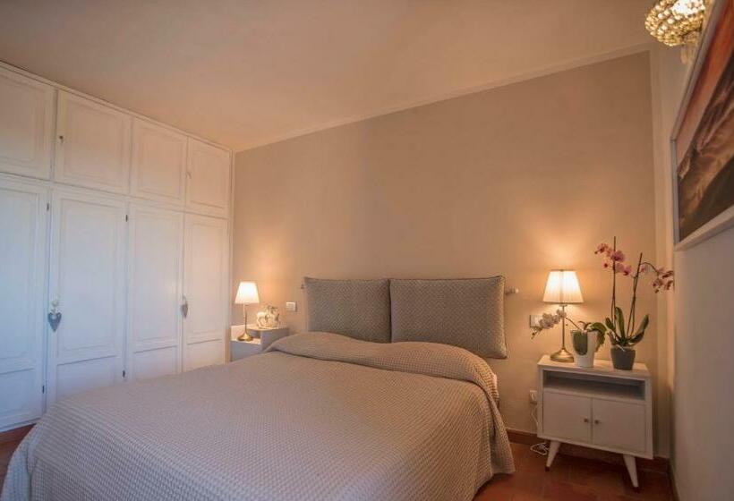 פנסיון Appartamento Le Palme Con Terrazze In Centro