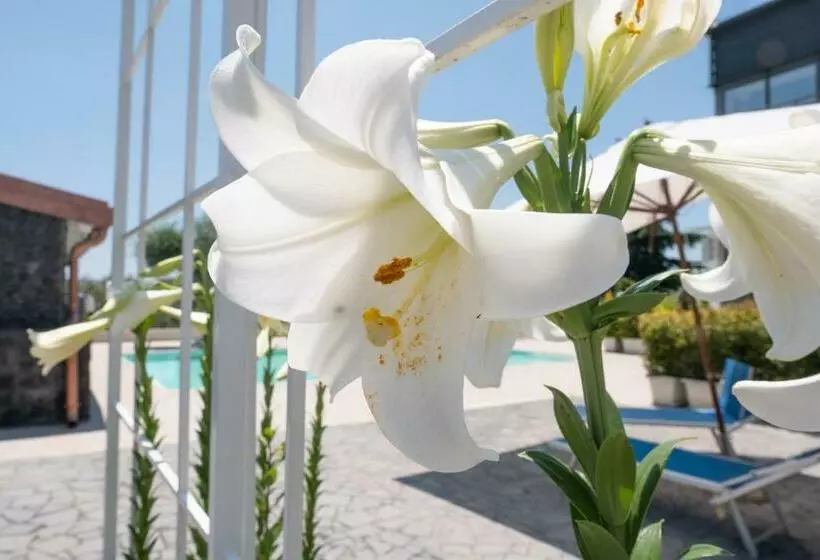 ペンション Lux Suite Sicily