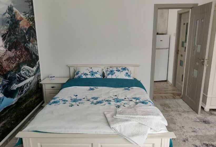 بنسيون Vizuina Lupului