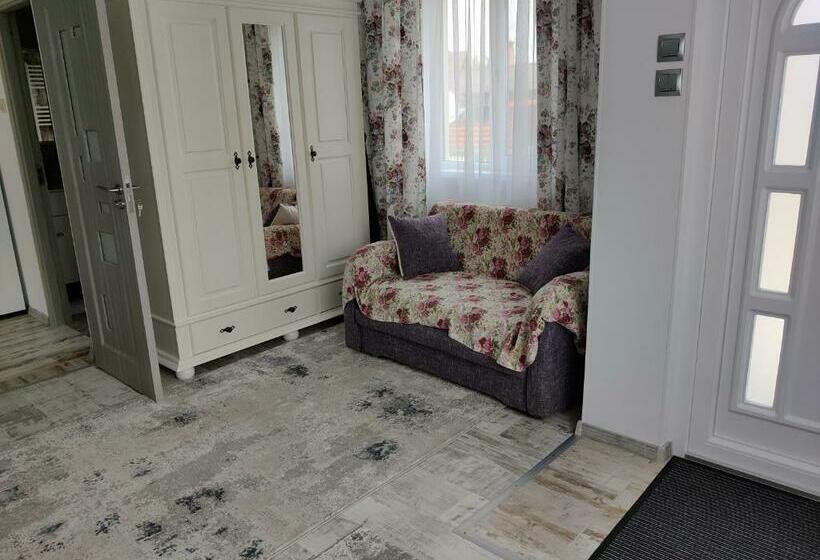 بنسيون Vizuina Lupului