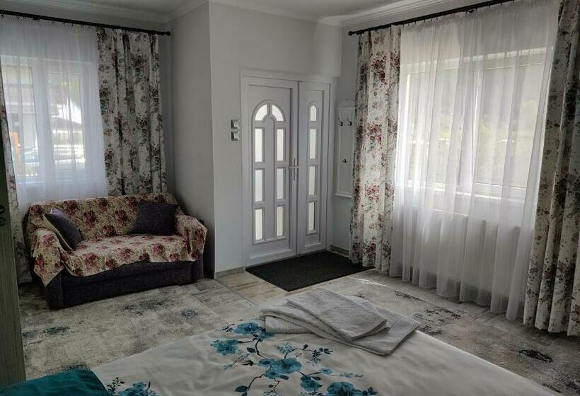 بنسيون Vizuina Lupului