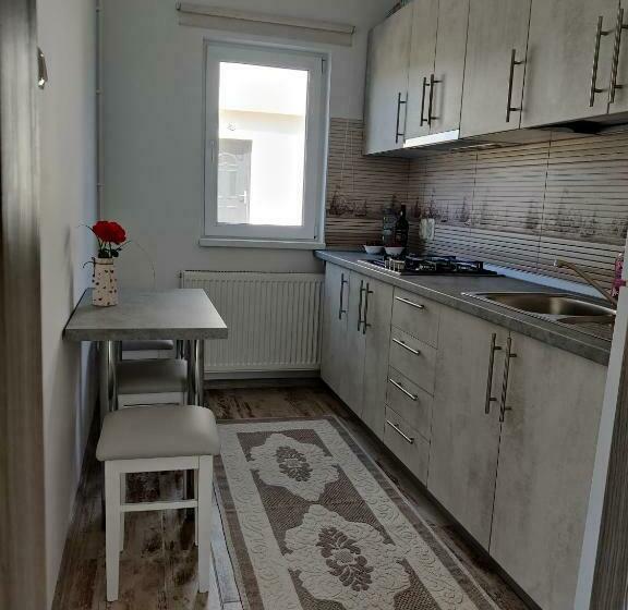 بنسيون Vizuina Lupului