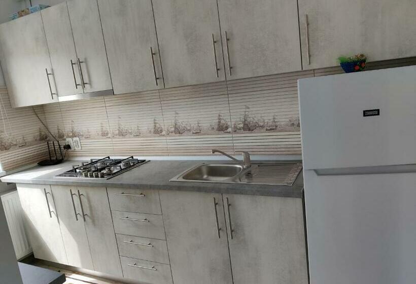 بنسيون Vizuina Lupului