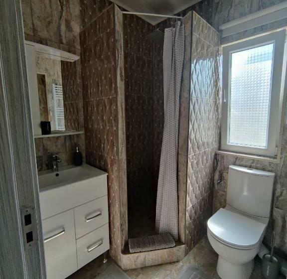 بنسيون Vizuina Lupului