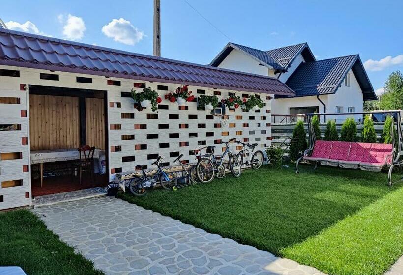 بنسيون Vizuina Lupului