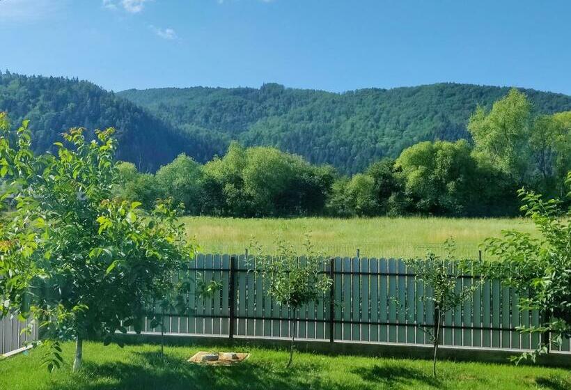 بنسيون Vizuina Lupului