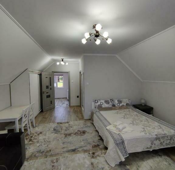 بنسيون Vizuina Lupului