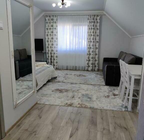 بنسيون Vizuina Lupului