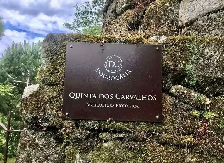 ホテル Quinta Dos Carvalhos The Wine House Farm In Center Of Lamego   Capital Of The Douro