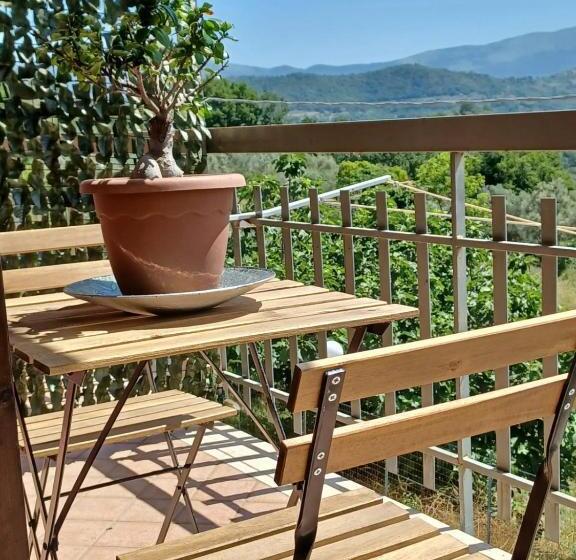 B&b Casa Vacanze Cilentami