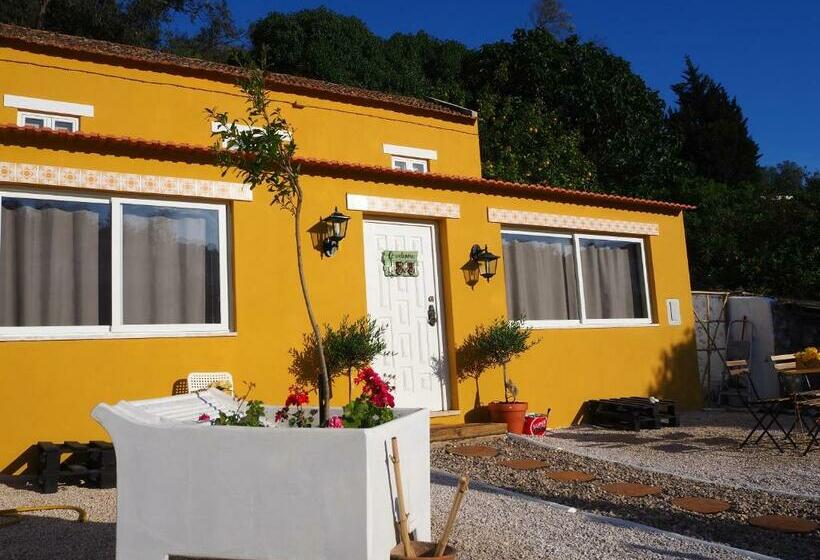 צימר Al Vila Presépio