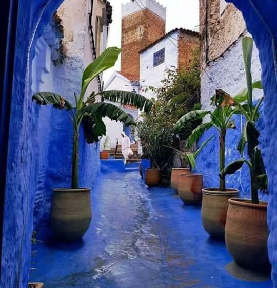 Hotel Usha Guest House