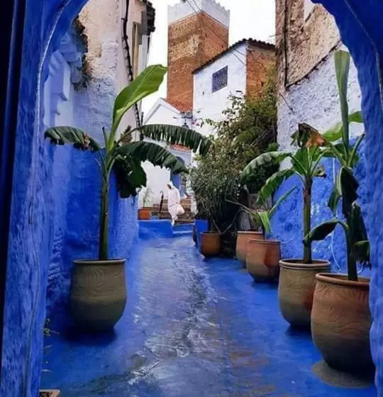 Hotelli Usha Guest House