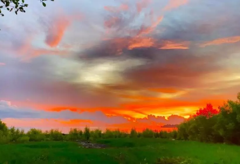 هاستل Fat Mermaid Guesthouse