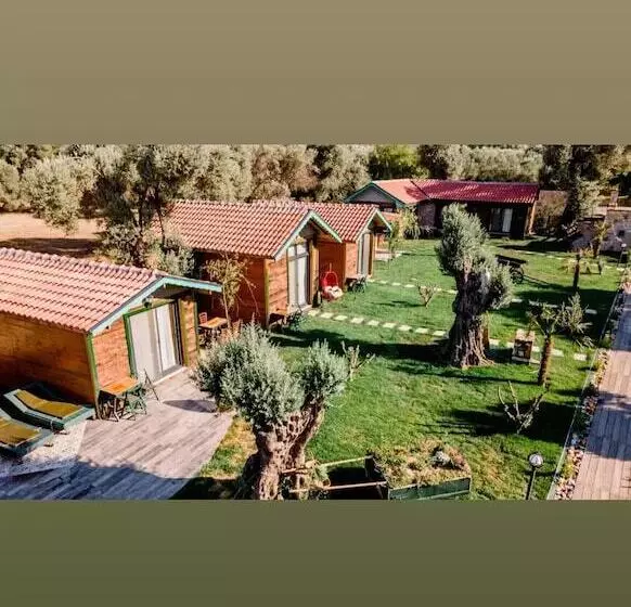 Bed and Breakfast Serender Bungalov