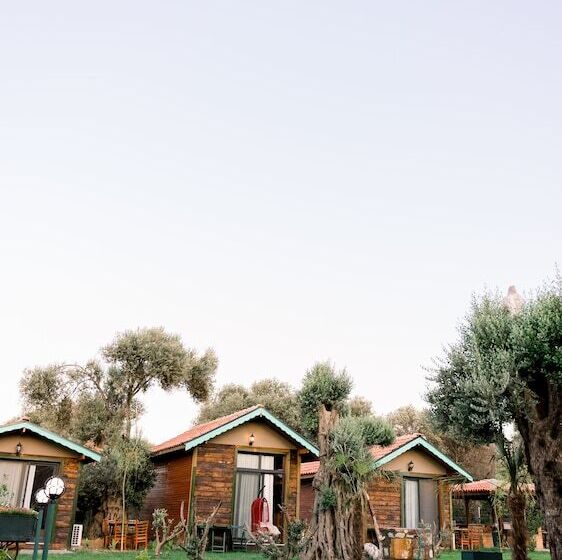 مبيت وإفطار Serender Bungalov