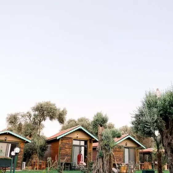 Bed and Breakfast Serender Bungalov