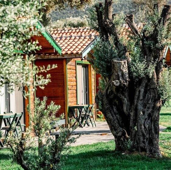 مبيت وإفطار Serender Bungalov