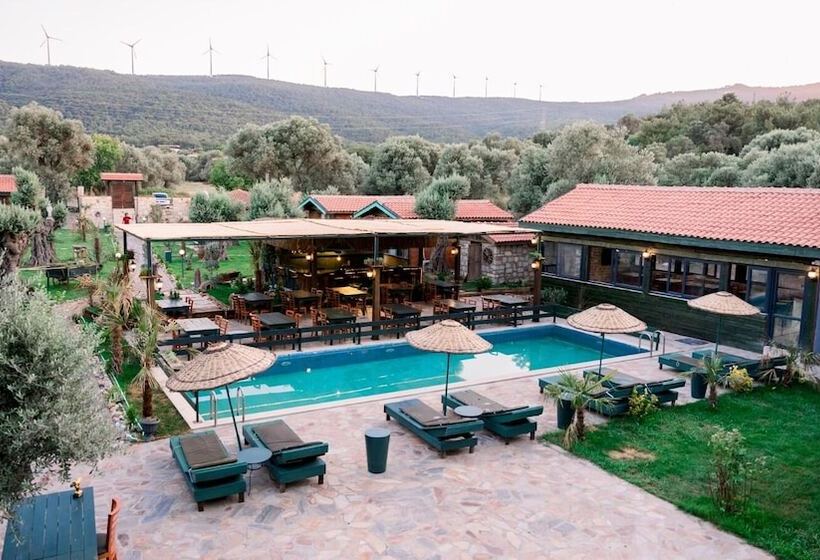 مبيت وإفطار Serender Bungalov