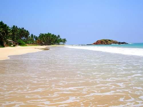 ペンション Fancy Resort