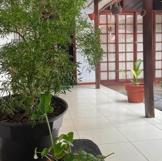 پانسیون Hospedaje Casa Amazónica Iquitos