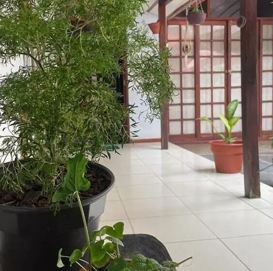 Majatalo Hospedaje Casa Amazónica Iquitos