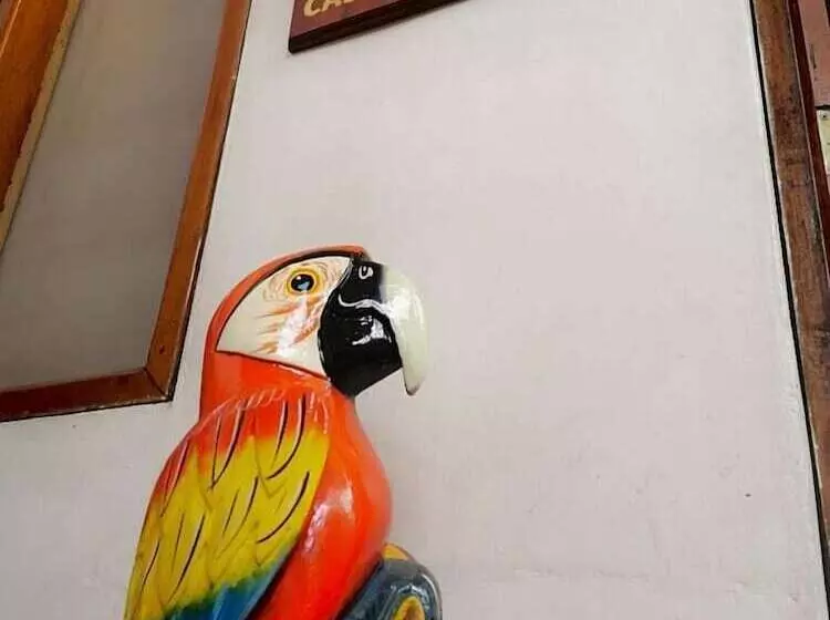 Majatalo Hospedaje Casa Amazónica Iquitos