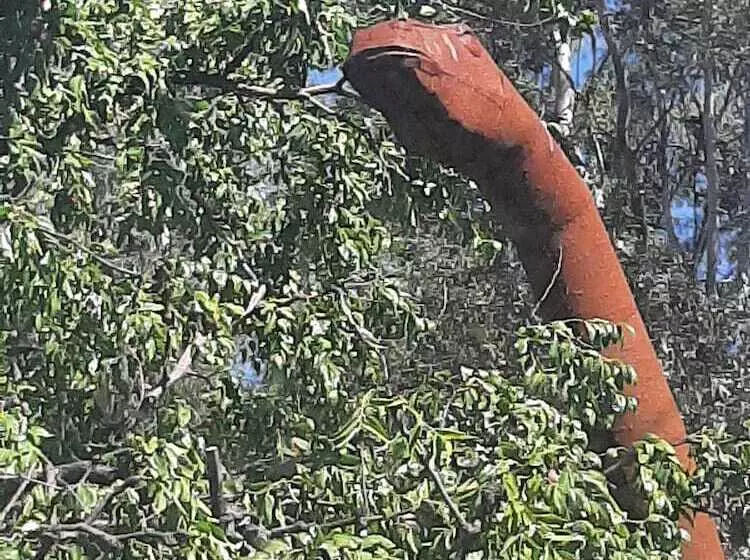 The New Star Motel   1950s Extended Stay Lodging And Retreat Center