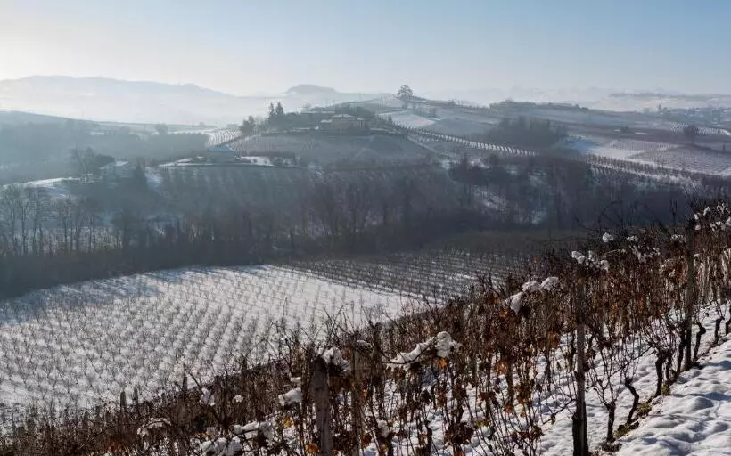 Appartamenti La Picchiera   Jole