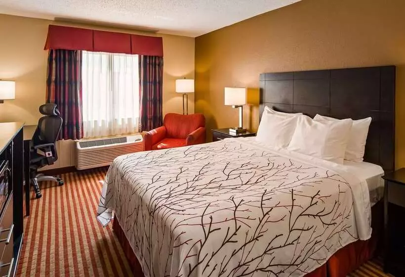 호텔 Best Western Jacksonville Inn
