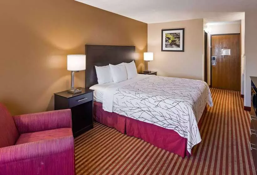 호텔 Best Western Jacksonville Inn