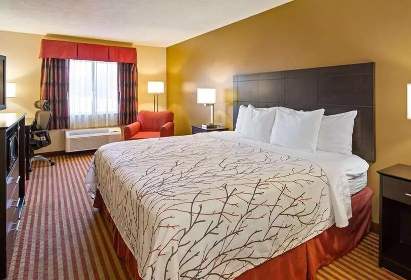 호텔 Best Western Jacksonville Inn