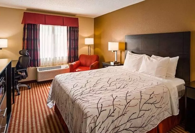 호텔 Best Western Jacksonville Inn