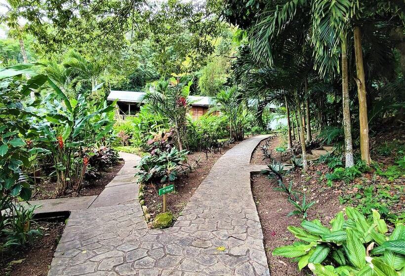 ホテル Maya Mountain Lodge